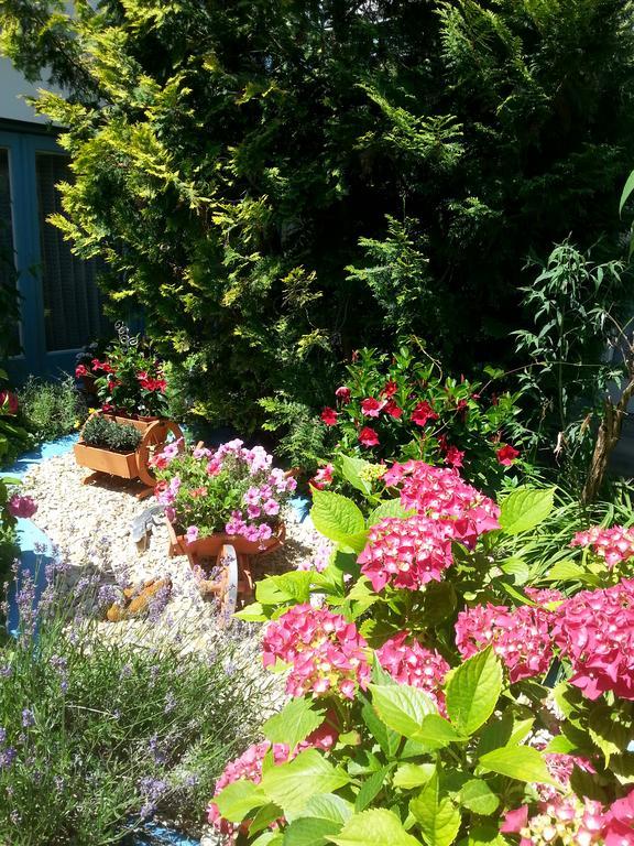 Hotel Park Eden Бад Белинген Екстериор снимка