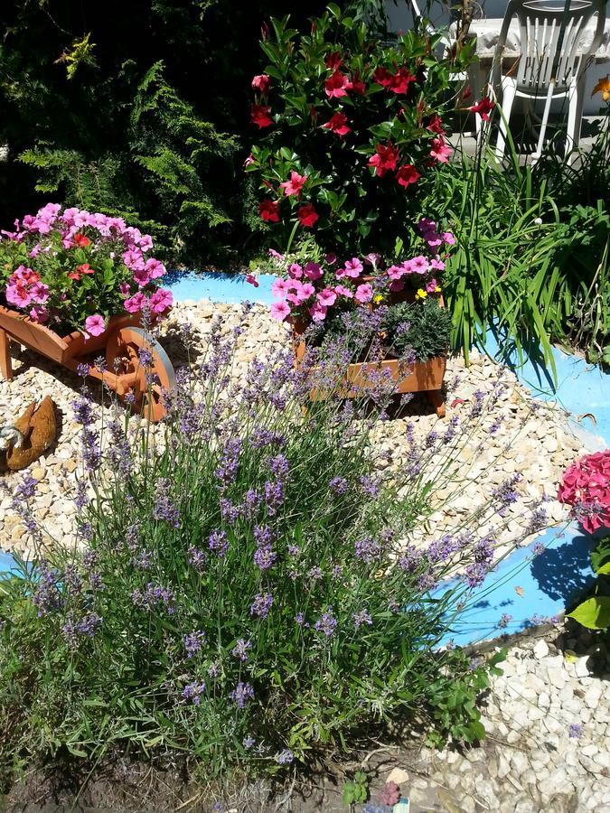 Hotel Park Eden Бад Белинген Екстериор снимка